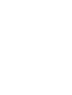 Anima Aurea